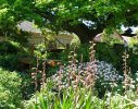 Constantia 3
