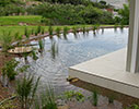 Natural swimming pool