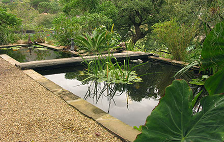 Water Feature