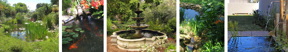 Water Feaures